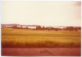  Nariensee, An der Straße nach Reichau 
