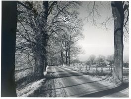 Bertung, Ort, Kreis Allenstein Bertung, Landstraße bei Bertung 