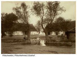 Pötschwalde, Ort, Kreis Gumbinnen Pötschkehmen, Gem. Pötschwalde, Gutshof Пётшкемен, община Пётшвальде, усадьба