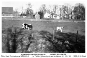 Plein, Kreis Elchniederung 