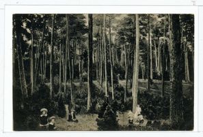 Schwarzort, Kreis Memel 