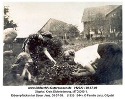 Gilgetal, Kreis Elchniederung 