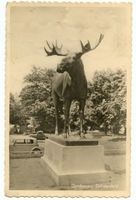 Gumbinnen, Stadt, Kreis Gumbinnen Magazinplatz Gumbinnen, Elchstandbild IV Гумбиннен, статуя лося, IV