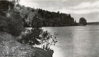 Allenstein, Stadtkreis Allenstein 