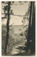  Rominter Heide, Marinowo-See IX Rominter Heide, Marinowo-See