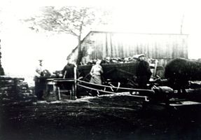 Legden Kr. Samland, Kreis Samland 