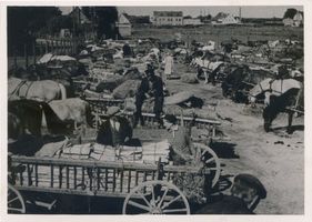 Memel, Stadt, Stadtkreis Memel Memel, Pferdefuhrwerke auf den Wochenmarkt V Memel, Marktleben
