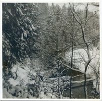  Rominter Heide, Winterbild, Steilhang an der Rominte 
