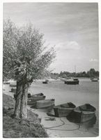 Peyse, Kreis Samland Peyse, Hafen am Königsberger Seekanal 