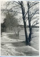  Rominter Heide, Marinowo-See im Vorfrühling Роминтская пуща, озеро Мариново ранней весной