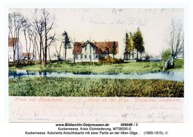 Kuckerneese, Ort, Kreis Elchniederung 