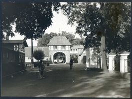 Cadinen, Kreis Elbing Cadinen, Gestüt, Toreinfahrt II 