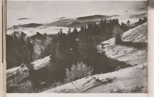 Goldap, Kreis Goldap Goldap, Die Goldaper Berge im Winterkleid Goldap, nicht verortete Bildmotive