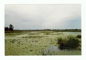 Tilsit, Stadt, Stadtkreis Tilsit 