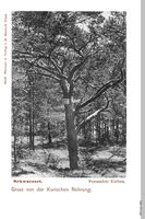 Schwarzort, Kreis Memel 