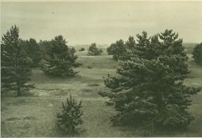 Schwarzort, Kreis Memel 