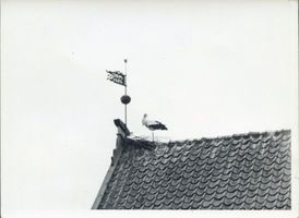 Stalle, Kreis Marienburg Stalle, Wetterfahne 