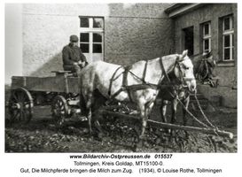 Tollmingen, Kreis Goldap  