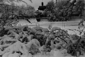 Tilsit, Stadt, Stadtkreis Tilsit 