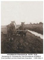 Brandenburg (Kr. Elchniederung), Kreis Elchniederung 