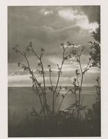  Ostsee, Sommerabend 