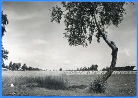  Heydekrug Kr. Heydekrug, Memelländische Landschaft 