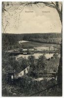 Rauschen Kr. Samland, Kreis Samland Rauschen Kr. Samland, Teichpartie IX 