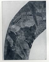 Lochstädt, Kreis Samland Lochstädt, Ordensschloß, Malereien im Gebietiger-Gemach II Lochstädt, Ordensschloß