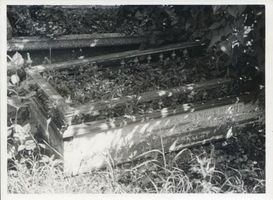Alt Inse, Kreis Elchniederung Alt Inse, Altertümliche Grabkiste Альт-Инзе, старинный могильный сундук