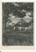 Nidden, Kreis Memel Nidden, Nehrungsfrieden, II Нидден, «Мир косы», II