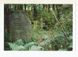 Cadinen, Kreis Elbing 