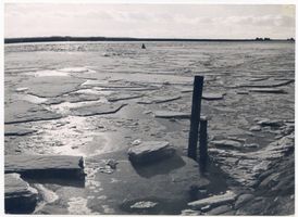  Pregel, Eisgang im Seekanal 