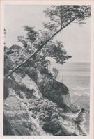 Georgenswalde, Kreis Samland Georgenswalde, Samländische Steilküste, Strandpartie Samländische Steilküste