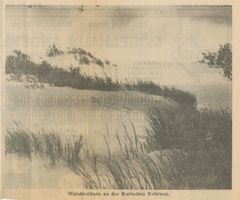 Pillkoppen, Kreis Samland Pillkoppen, Wanderdüne bei Pillkoppen, III Пилькоппен, блуждающая дюна у Пилькоппен, III