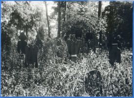 Nidden, Kreis Memel Nidden, Friedhof XI Нидден, кладбище, XI