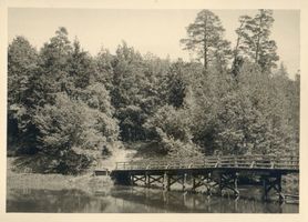 Allenstein, Stadtkreis Allenstein Allenstein, Stadtwald, Fahrbrücke Алленштайн, городской лес, паромный мост