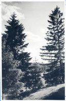 Galtgarben, Kreis Samland Galtgarben, Blick vom Hegeberg zum Bismarckturm 