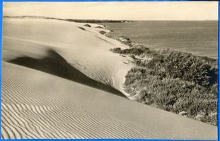  Kurische Nehrung, Dünen X Kurische Nehrung, Dünen