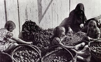 Tawe, Ort, Kreis Elchniederung 