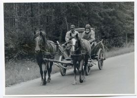  Elbing, Panjewagen in der Umgebung der Stadt 