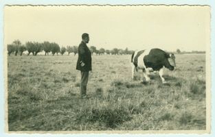 Bolzfelde, Kreis Elchniederung 