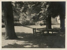 Glaubitten, Kreis Rastenburg Glaubitten, Gutspark VI ? Глаубиттен, парк имения, VI?