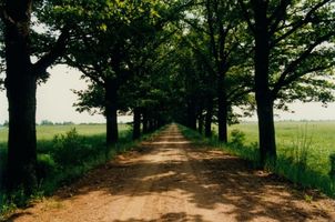 Wilhelmsheide Kr. Elchniederung, Kreis Elchniederung 