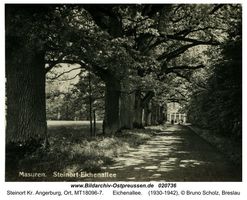 Steinort Kr. Angerburg, Ort, Kreis Angerburg  