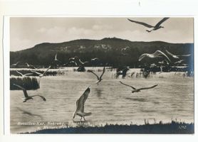 Rossitten Kr. Samland, Kreis Samland 