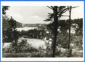 Rauschen Kr. Samland, Kreis Samland Rauschen Kr. Samland, Teichpartie III 