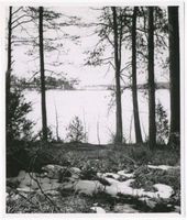  Niedersee (See), Vorfrühling am Niedersee Masuren, Niedersee