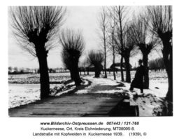 Kuckerneese, Ort, Kreis Elchniederung 