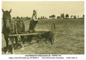 Allgau, Kreis Elchniederung 