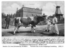 Neukirch, Ort, Kreis Elchniederung 